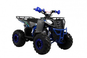 Квадроцикл Wels ATV THUNDER EVO 125 s-dostavka Серый - магазин СпортДоставка. Спортивные товары интернет магазин в Тамбове 