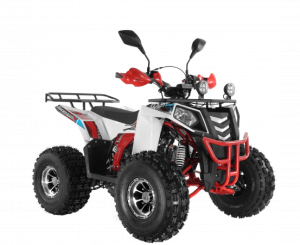 Квадроцикл Wels ATV THUNDER EVO 125 Х s-dostavka Белый - магазин СпортДоставка. Спортивные товары интернет магазин в Тамбове 